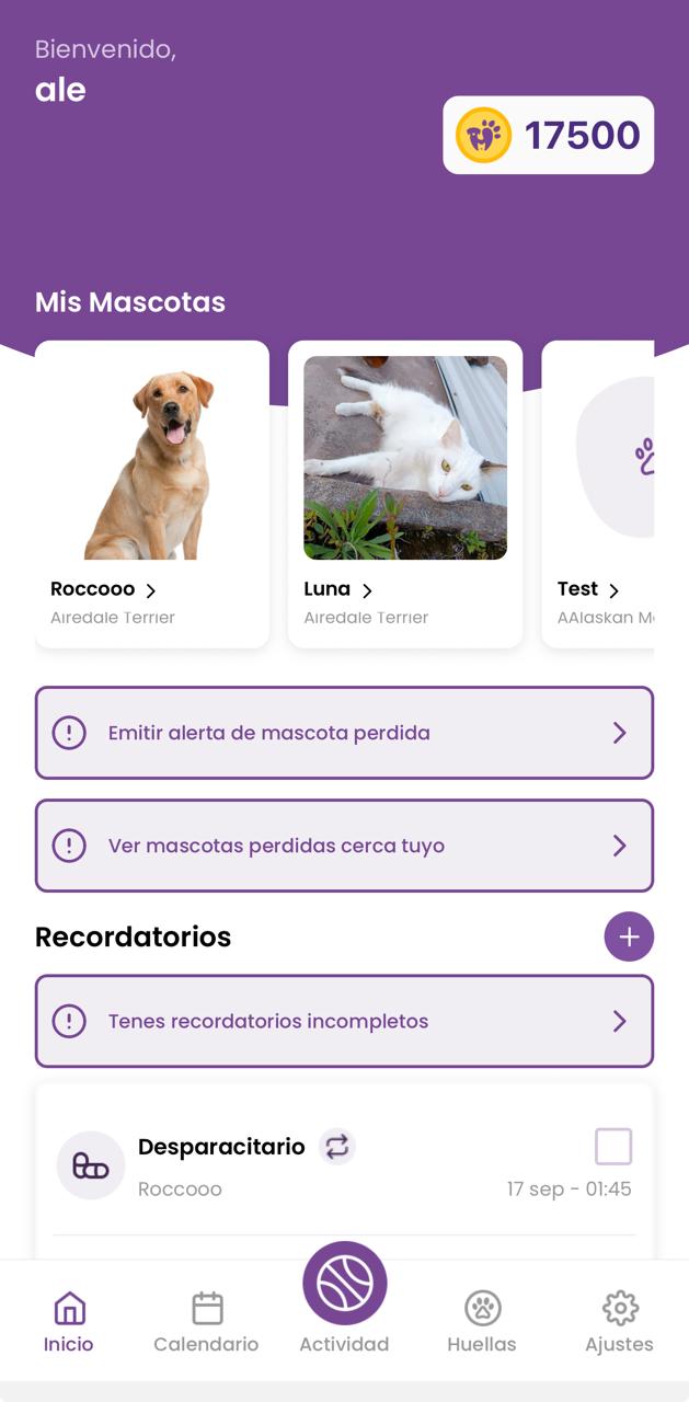 Vista previa de la aplicación Huellap en un teléfono